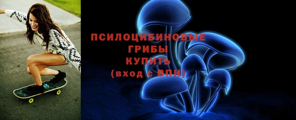 мяу мяу мука Горно-Алтайск