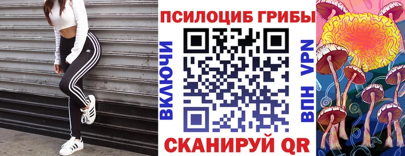 mega маркетплейс  Омутнинск  Псилоцибиновые грибы GOLDEN TEACHER  где купить наркотик 